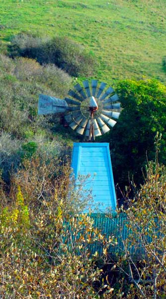 The Blue Windmill